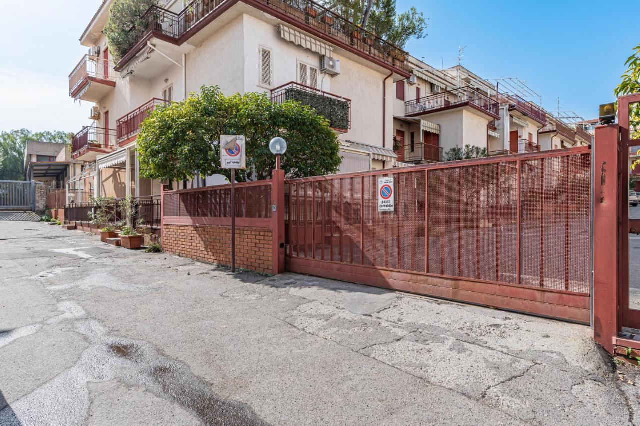 Apartment Naxos Bay Flat With Terrace 50 Meters From The Sea